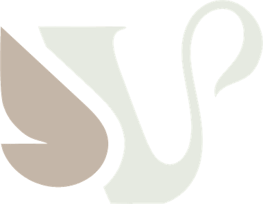 Viva Studio de Dança